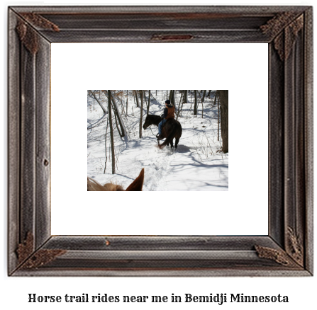 horse trail rides near me in Bemidji, Minnesota